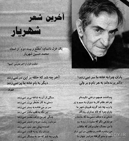 توریستی توریستی