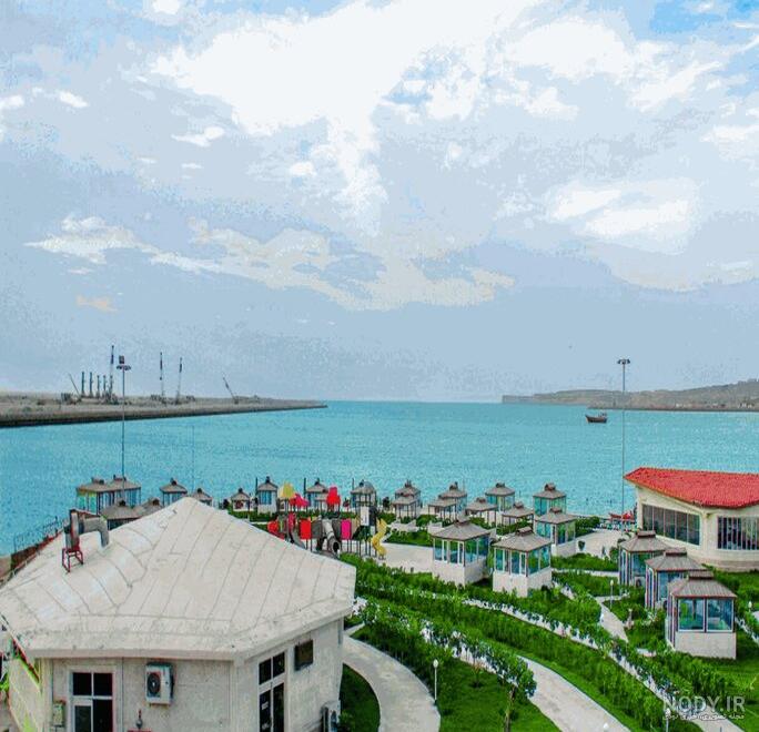 رز جاودآن