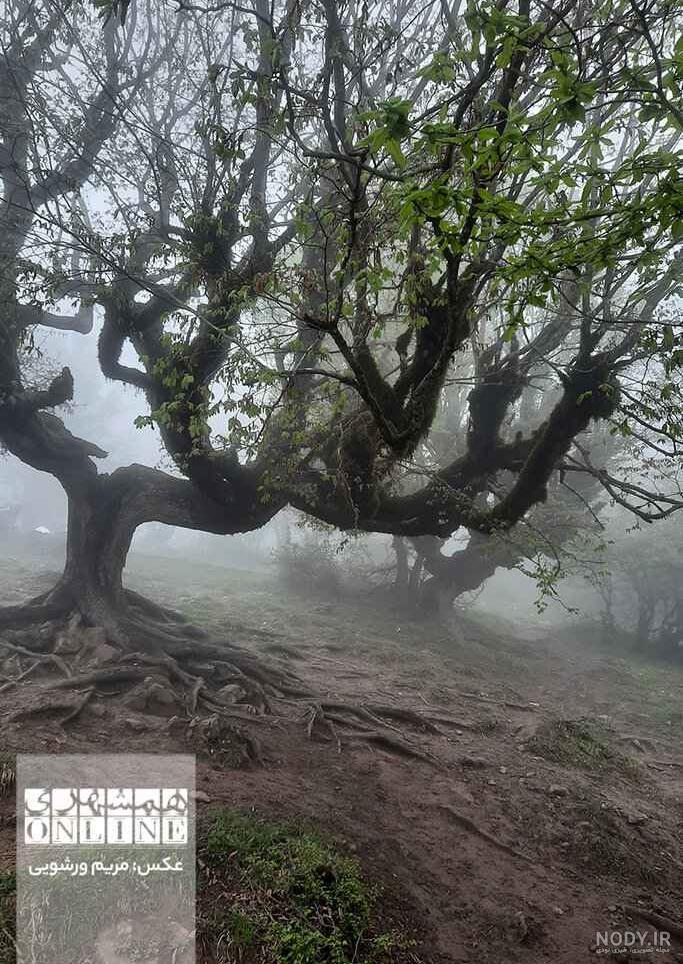 عکس نوشته میدونی بهشت کجاست