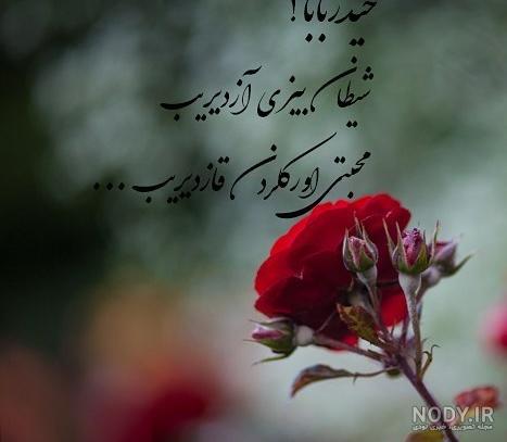 حیدر حیدر