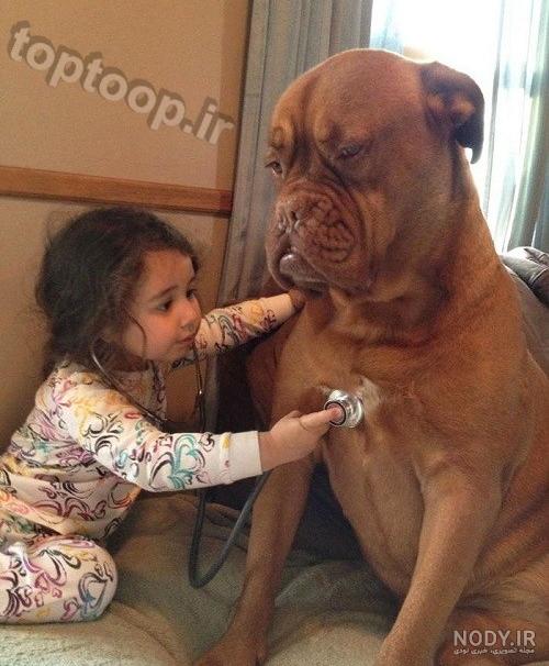 سگه سگه