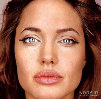 عکس نزدیک از صورت مورچه عکس نزدیک از صورت مورچه