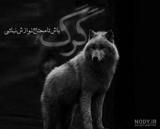 پروف دخترونة پروف دخترونة