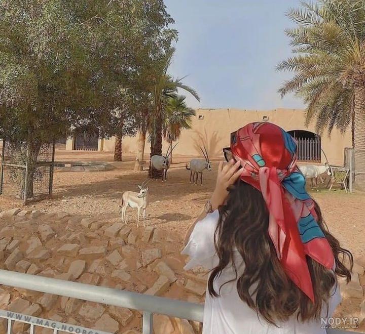 آینستآ گرآم آینستآ گرآم