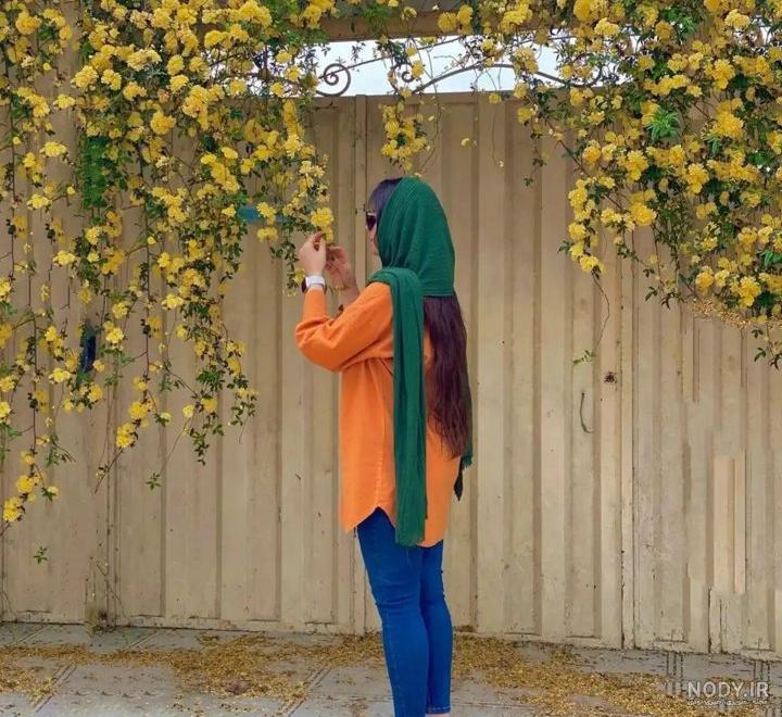 کارتونی کارتونی
