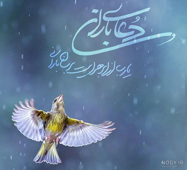 دلتنگی