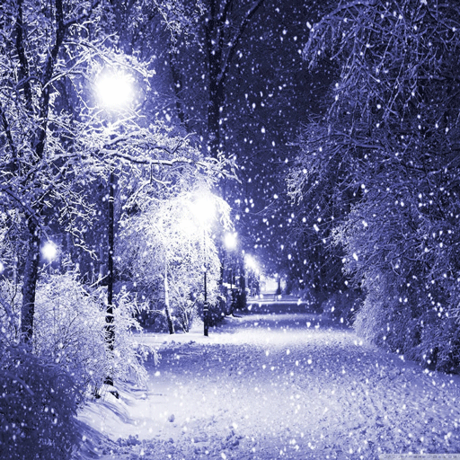 عکس بارش برف در طبیعت