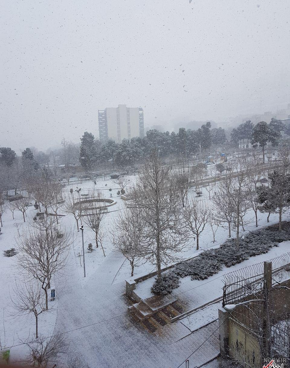عکس بارش برف شدید در تهران