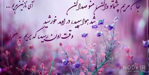 جملات