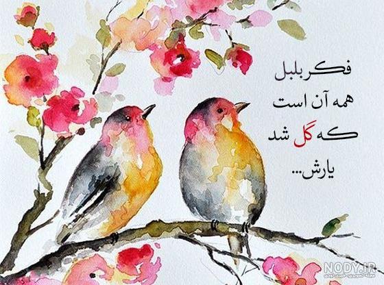 شکوفه