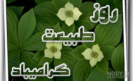 سورئال سورئال