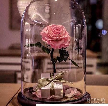 عکس گل توی شیشه