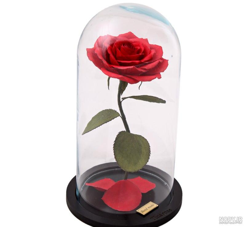 عکس گل رز توی شیشه