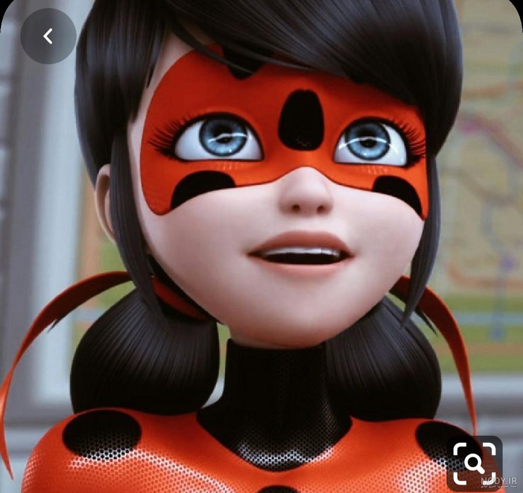 ladybug ladybug