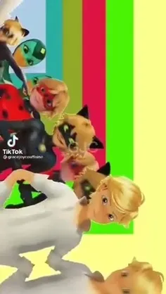 كت نوآر