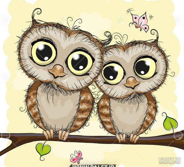 cute owl