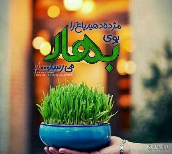 برادر