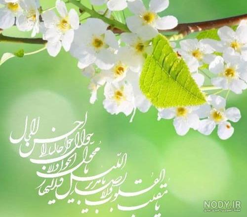 عکس آغاز نوروز عکس آغاز نوروز