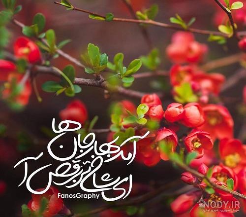 مادر شوهر