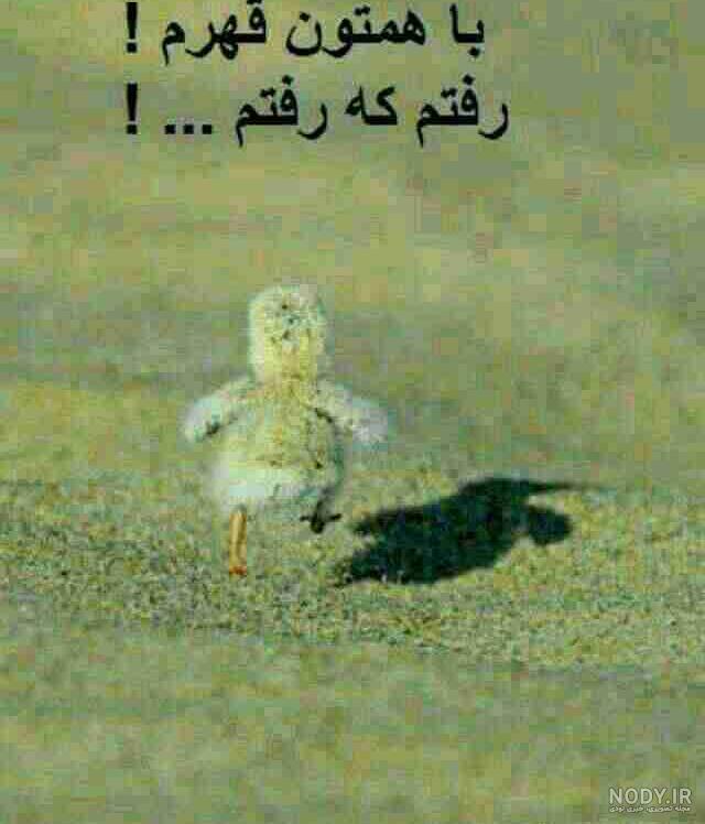 ترول