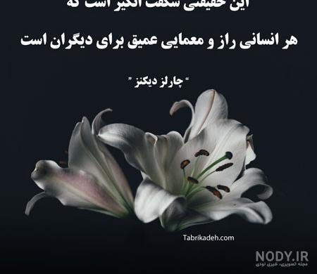 شعر شعر