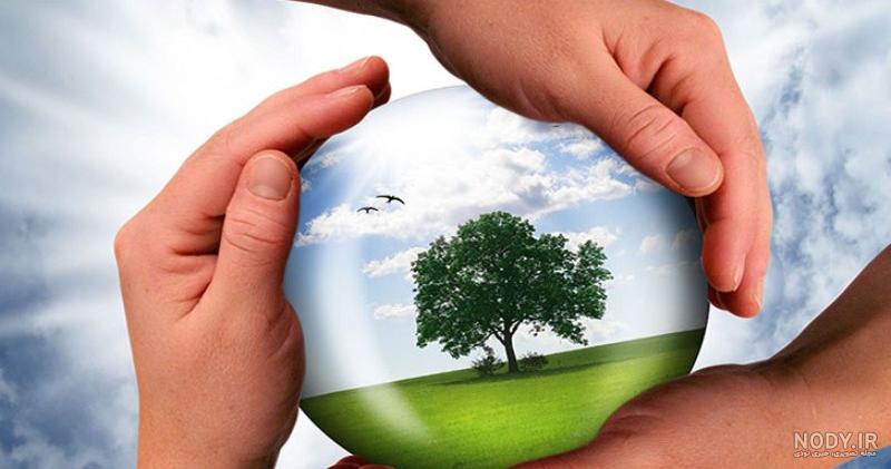 عکس هایی در مورد محیط زیست عکس هایی در مورد محیط زیست
