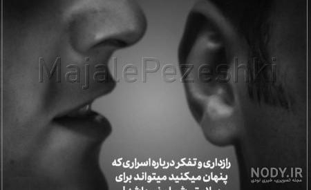 متن متن