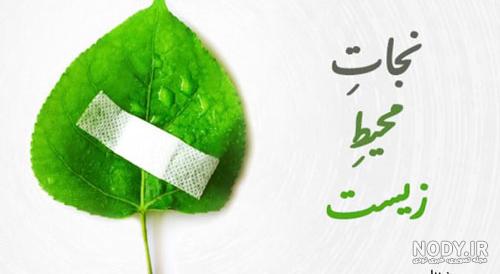 محیطی محیطی