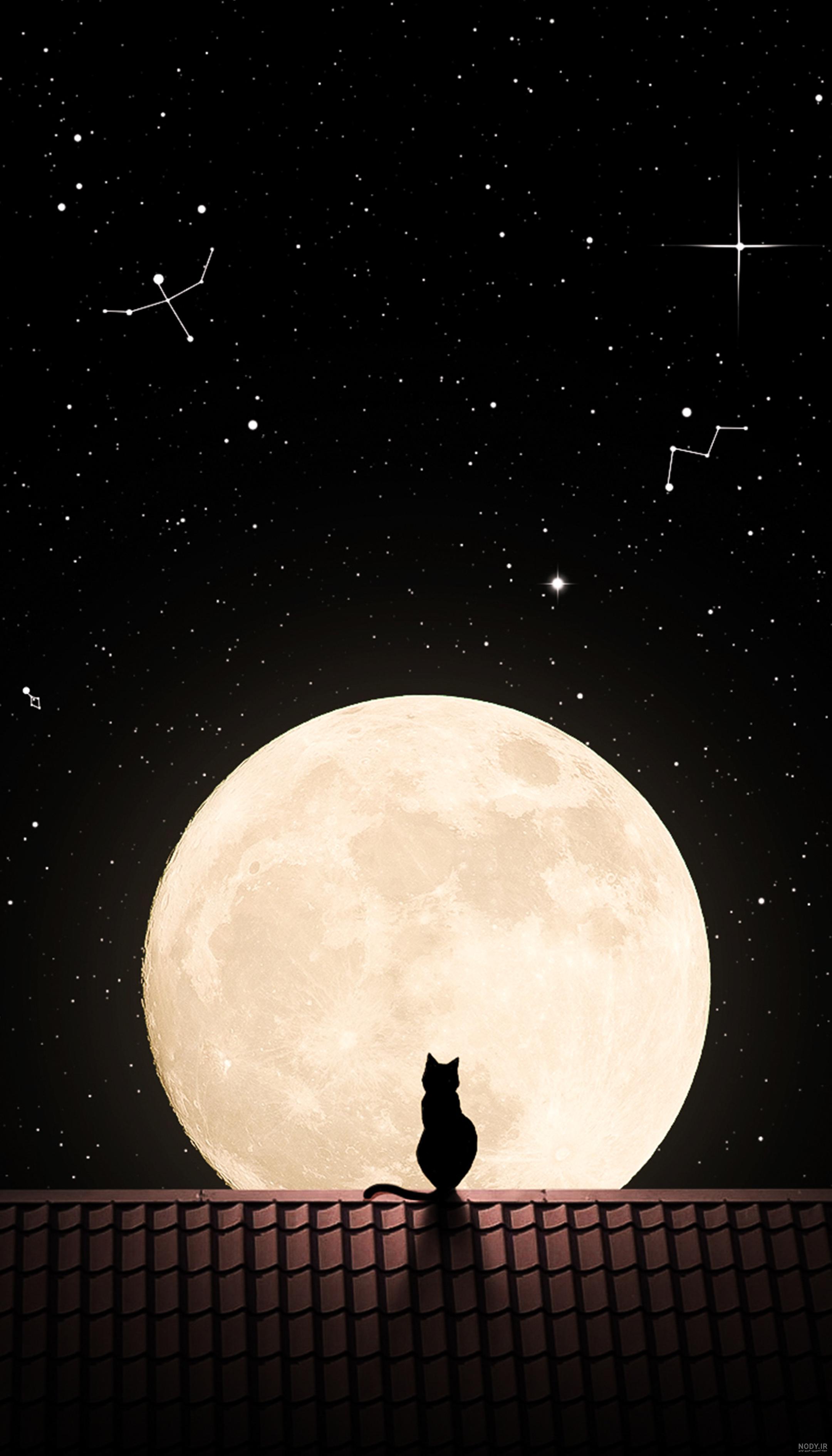 والپيپر شب والپيپر شب