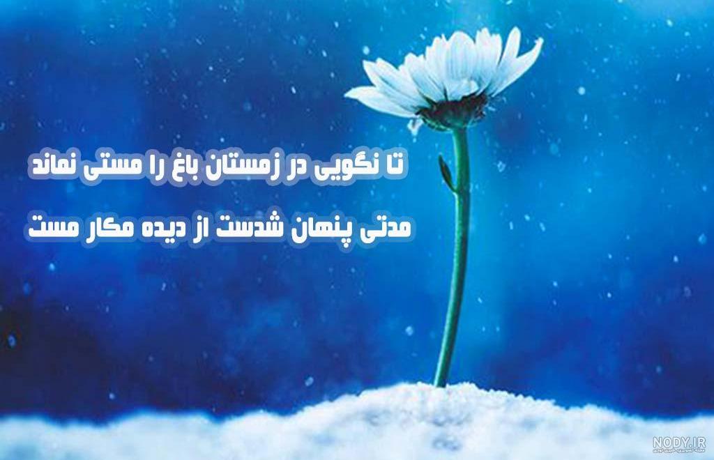 برفي زيبا برفي زيبا