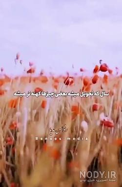 رفيق صميمي