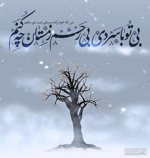 متن متن
