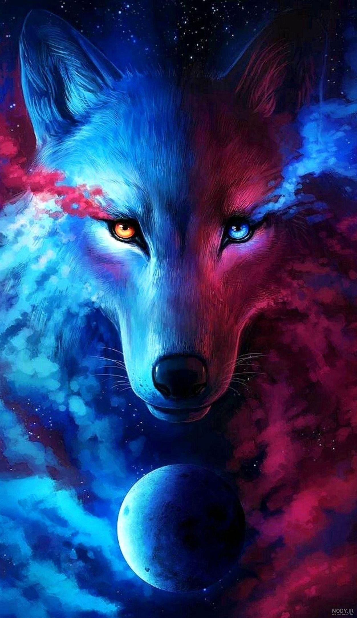 wolf wolf