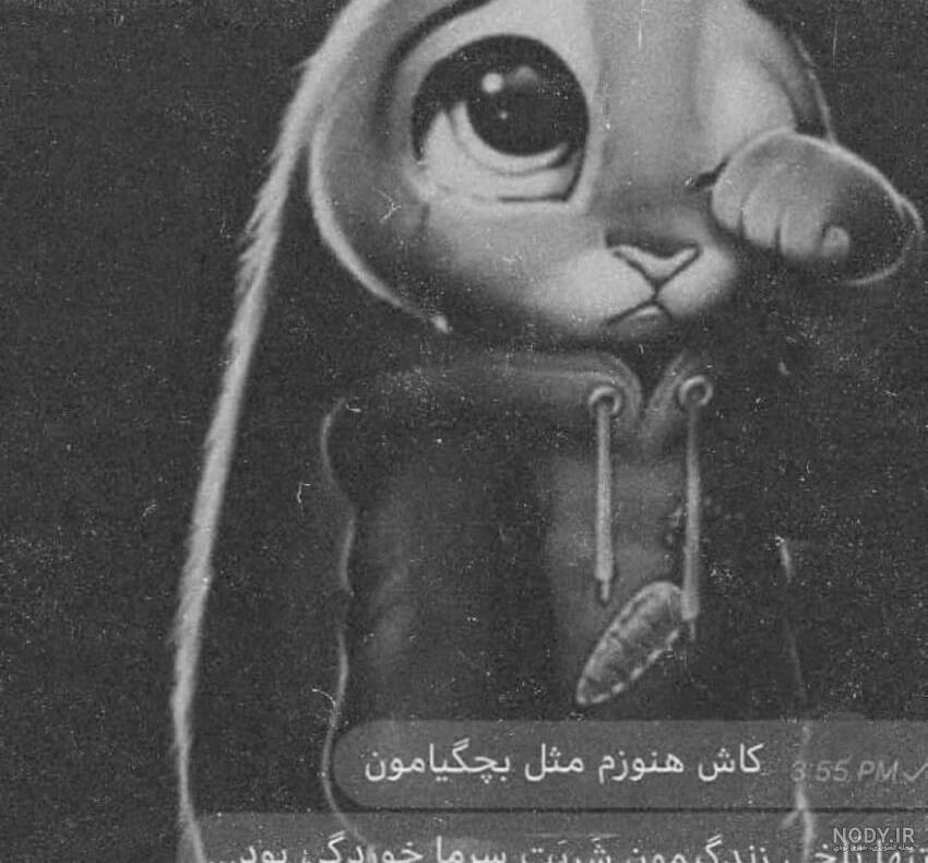 اسفنجی سیاه اسفنجی سیاه