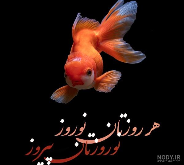 سال ۱۴۰۱ سال ۱۴۰۱