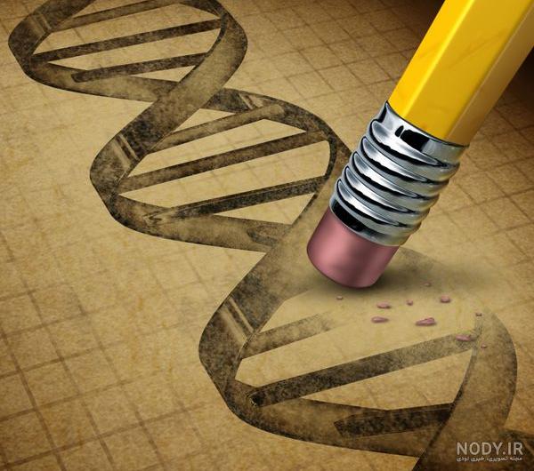 عکس پس زمینه ژنتیکی عکس پس زمینه ژنتیکی