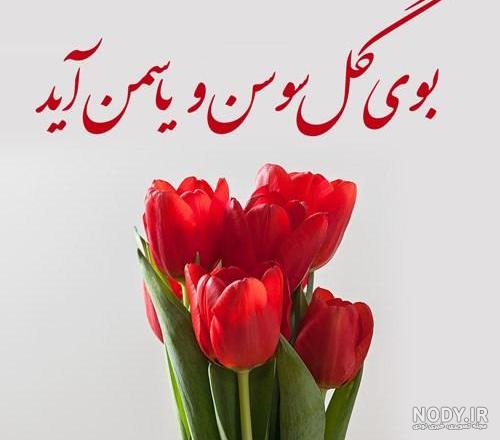 عکس در مورد دهه فجر و امام خمینی عکس در مورد دهه فجر و امام خمینی