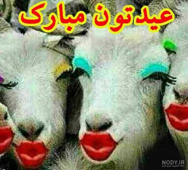 عکس روز عید قربان مبارک