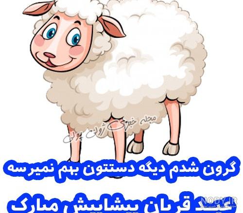 پروفایل تبریک