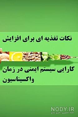آنشا درمورد آنشا درمورد