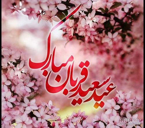 متن