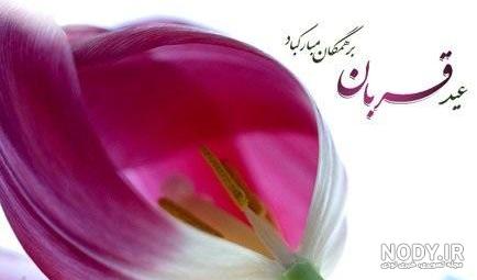 پروفايل عيد