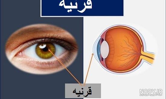 چشمان چشمان