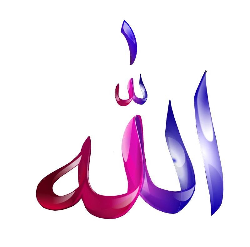 سربرگ سربرگ