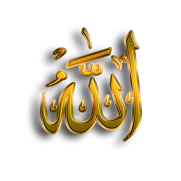 وکتور آرم وکتور آرم