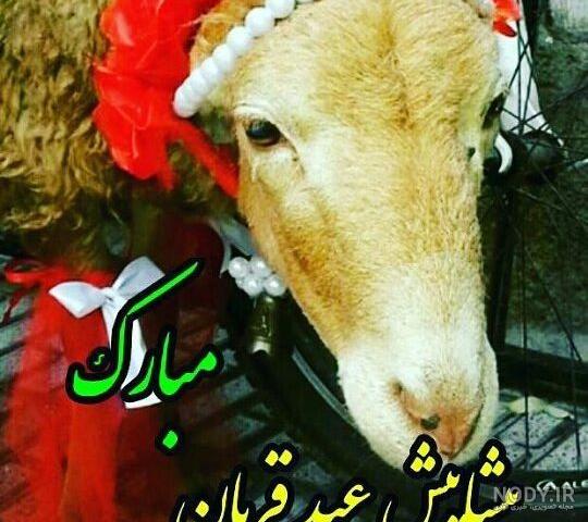 بودنمون مبارك بودنمون مبارك