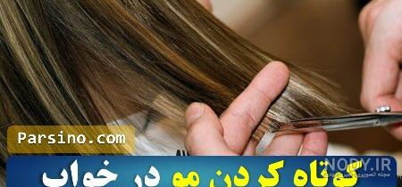 شانه شانه