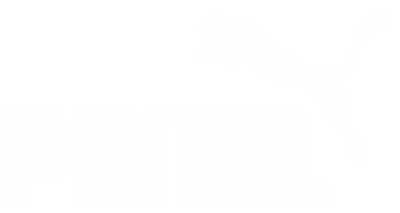 transparent puma transparent puma