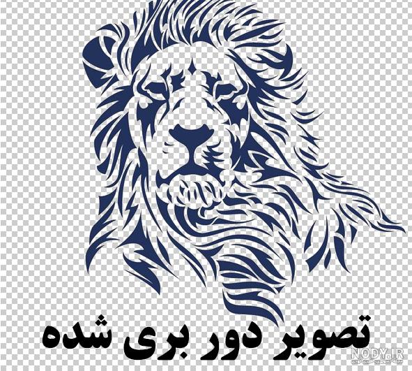 تاج دار تاج دار