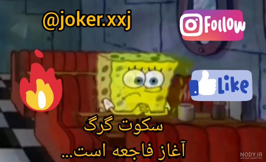 عکس باب اسفنجی لات